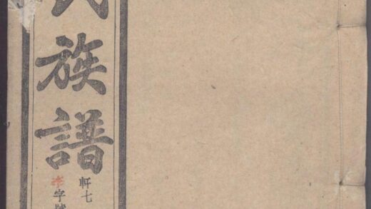 01478 灊阳金氏族谱 0.jpg