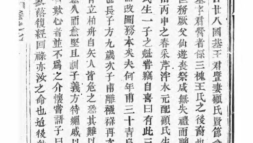 01507 木衢王氏宗谱 0.jpg