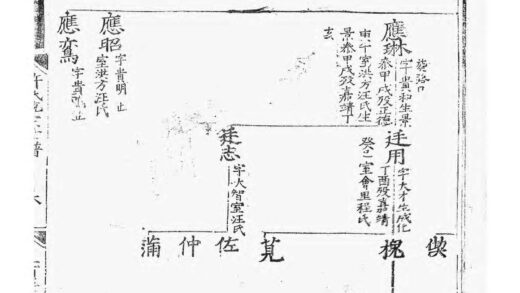 01519 许氏统宗世谱 0.jpg