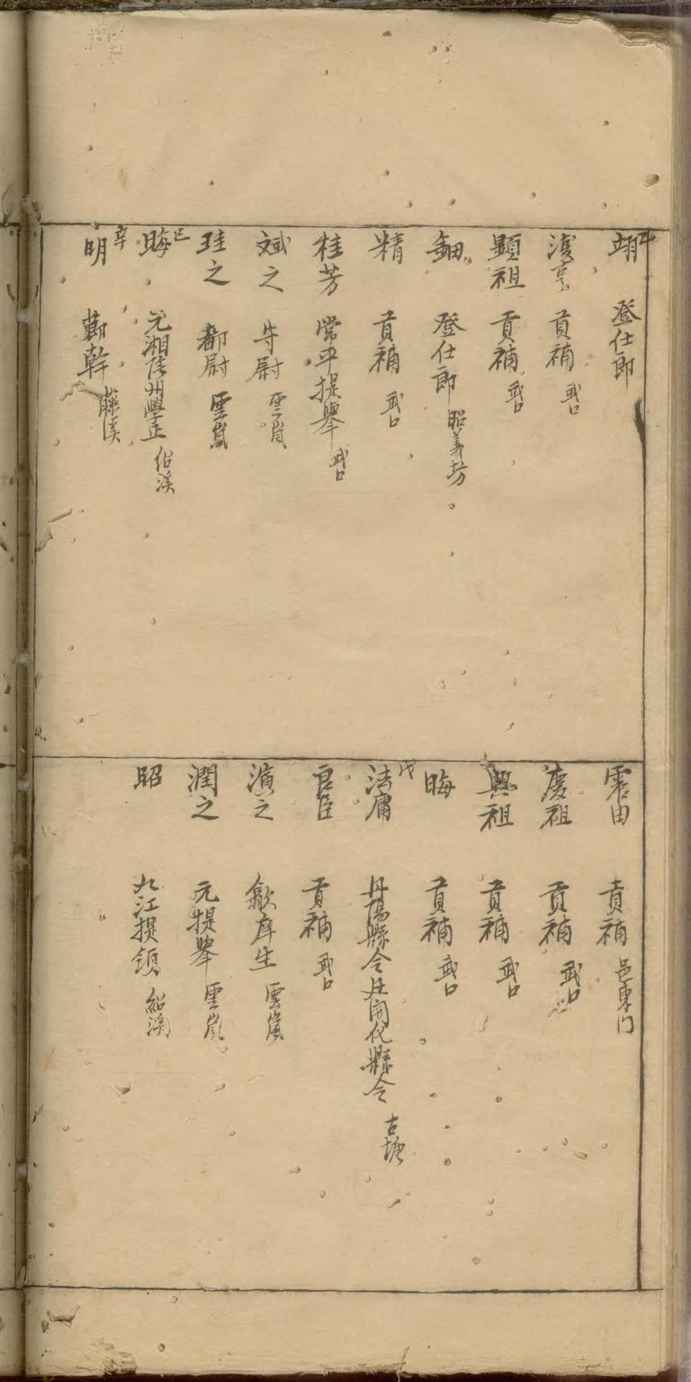 _藤溪王氏摘支世谱_