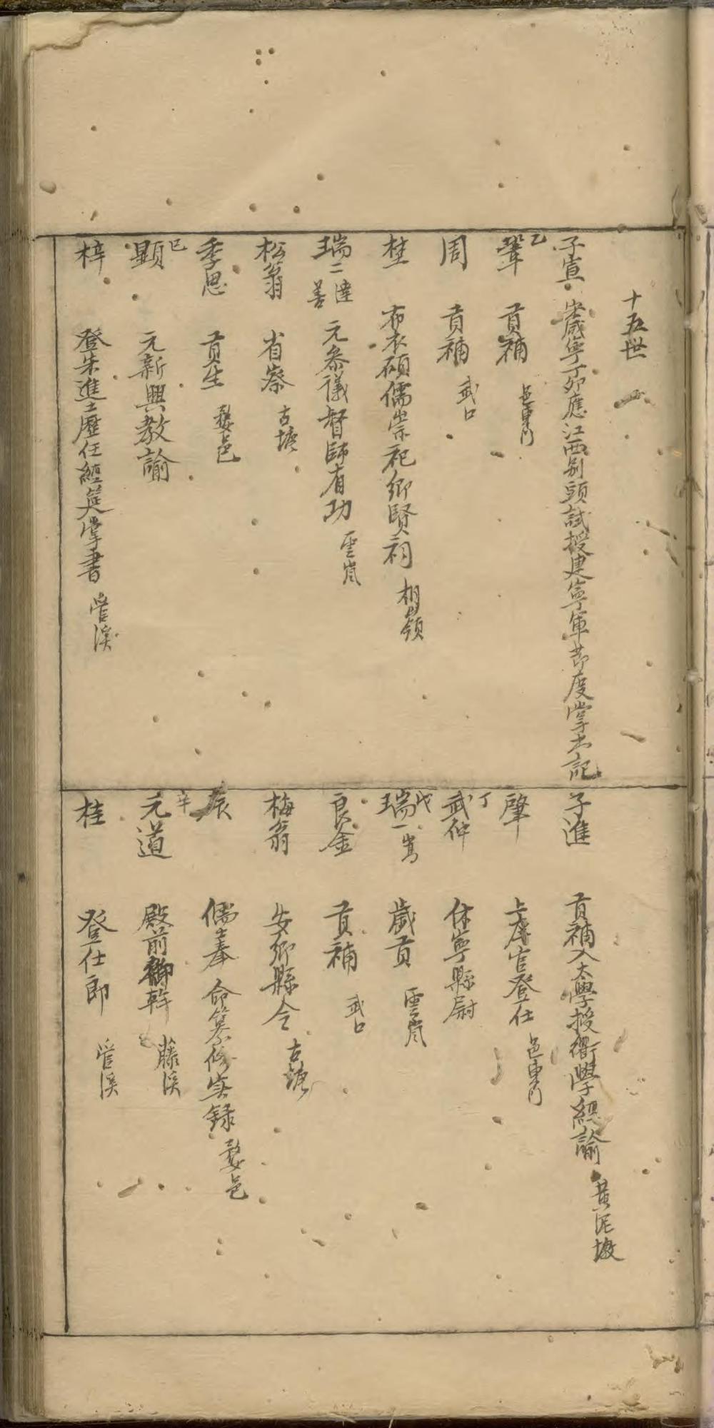 _藤溪王氏摘支世谱_