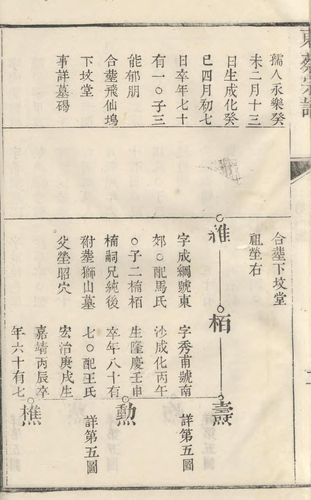 _洞庭东蔡宗谱_