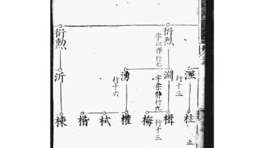 01576 祁门金吾谢氏宗谱 0.jpg