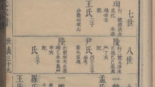 01613 山阴贤庄金氏家谱 0.jpg