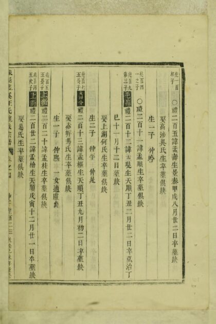 01636 东阳画溪王氏地派宗谱 0.jpg