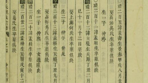 01636 东阳画溪王氏地派宗谱 0.jpg