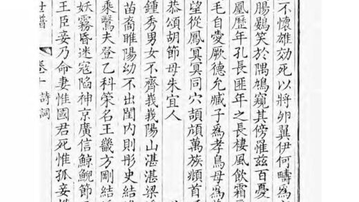 01649 昆山安定胡氏世谱 0.jpg