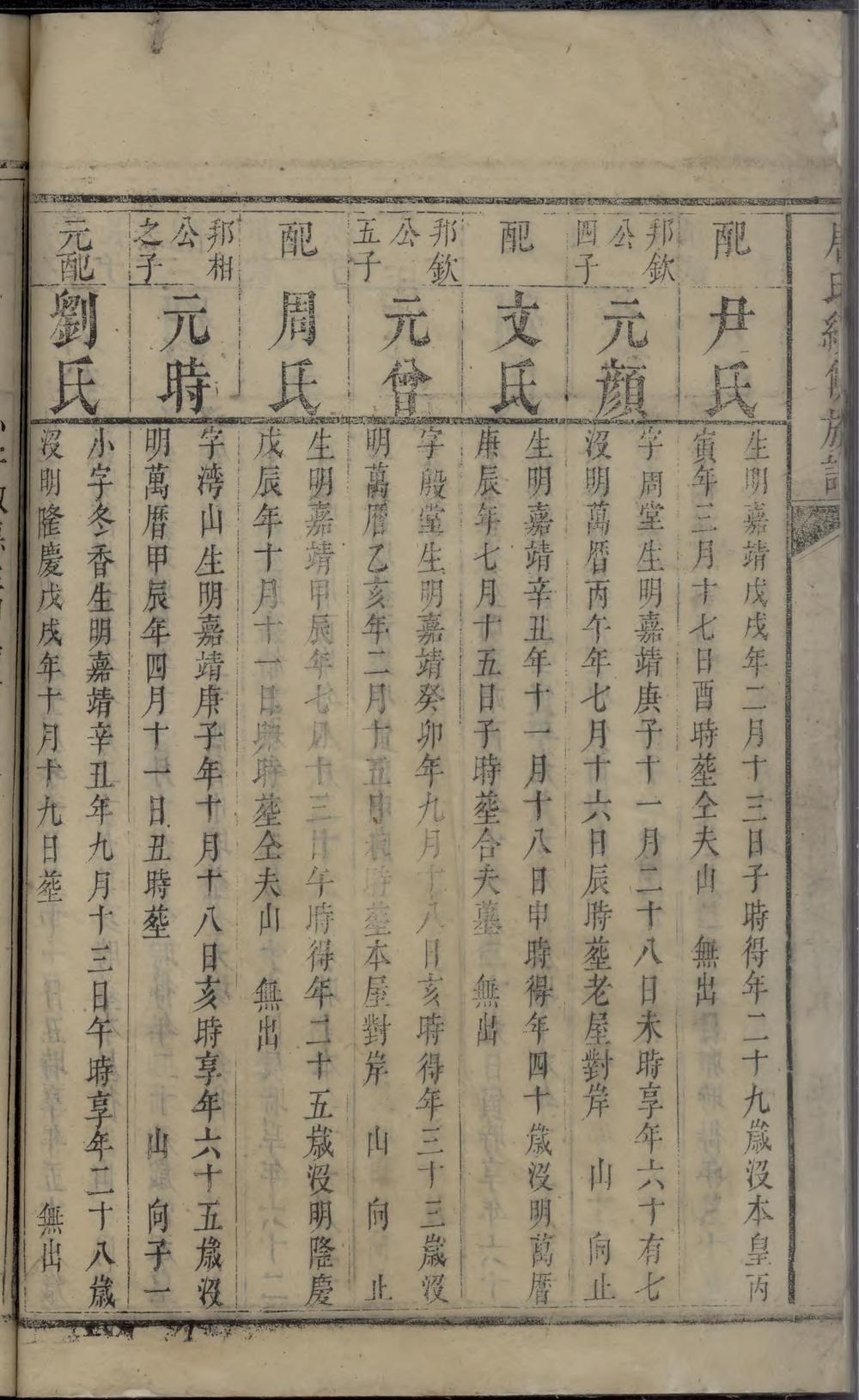 _唐氏续修族谱_