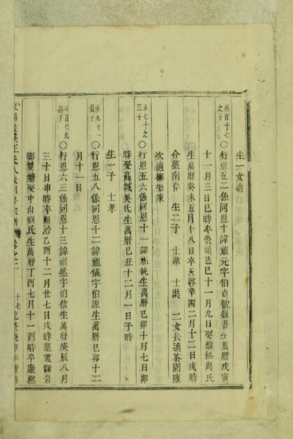 01715 东阳画溪王氏人派同房宗谱 0.jpg