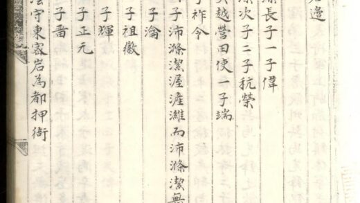 01730 蟾溪程氏家谱 0.jpg