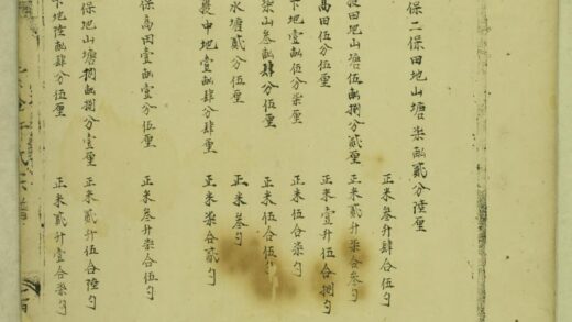 01732 紫金许氏宗谱 0.jpg