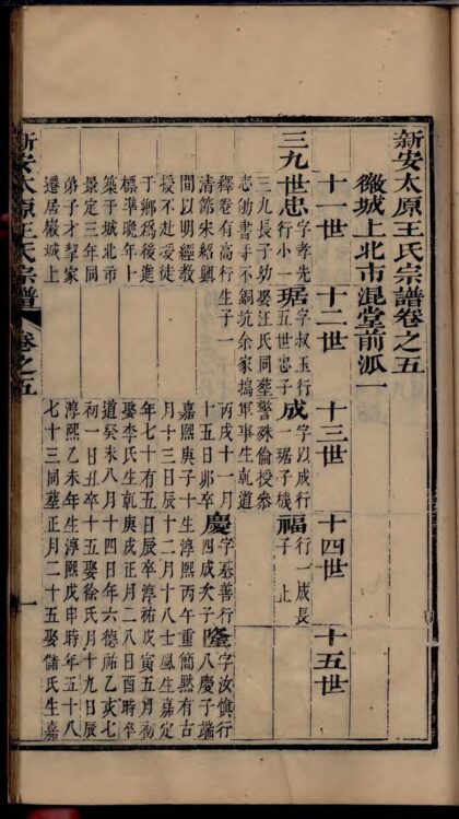 01771 新安太原王氏宗谱 0.jpg