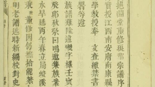 01804 琅琊王氏宗谱 0.jpg