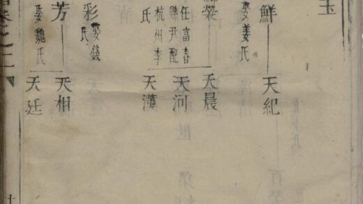 01805 金峰楼氏宗谱 0.jpg