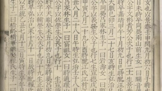 01816 新安岩镇吴氏族谱 0.jpg