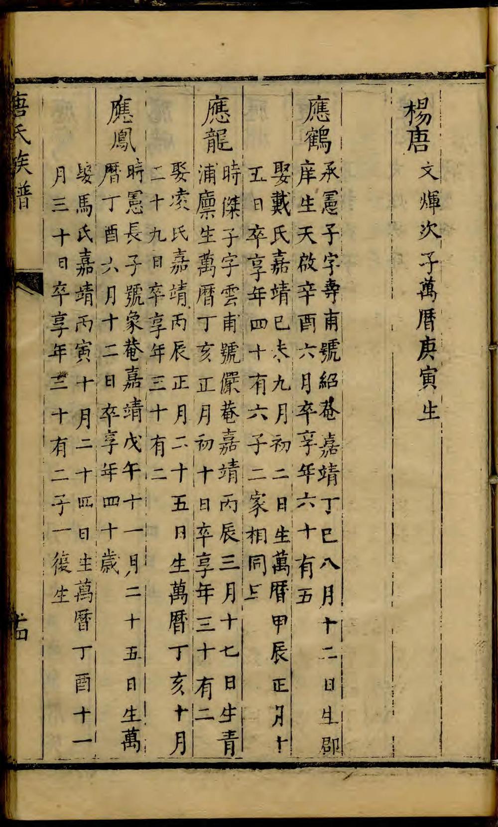 _华亭唐氏族谱_