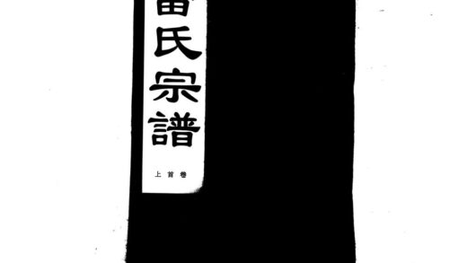 01905 雷氏宗谱 0.jpg