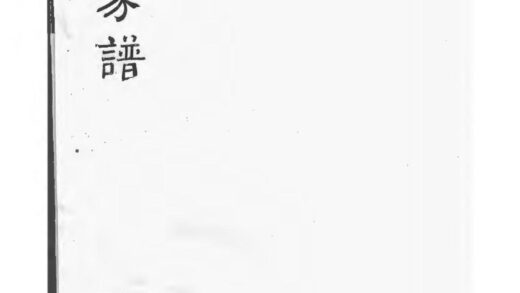 01930 杨氏家谱 0.jpg