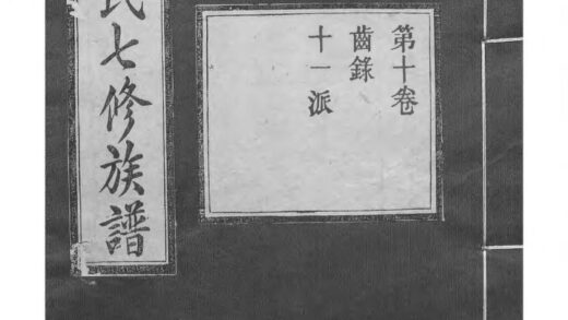 01931 中湘白盄陈氏七修族谱 0.jpg