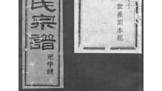 01944 暨阳孝义流子里吴氏宗谱 0.jpg