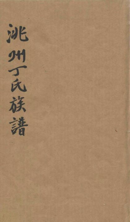 01993 洮州丁氏族谱 0.jpg