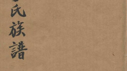 01993 洮州丁氏族谱 0.jpg