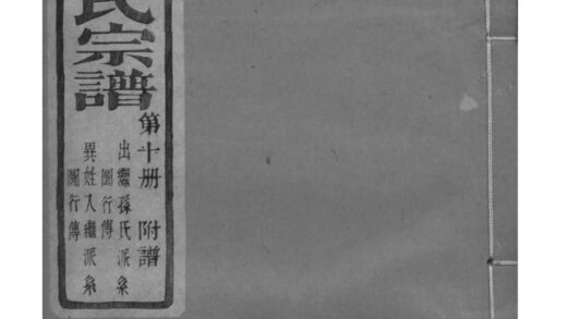 01995 浙江萧山山阴碧山许氏宗谱 0.jpg