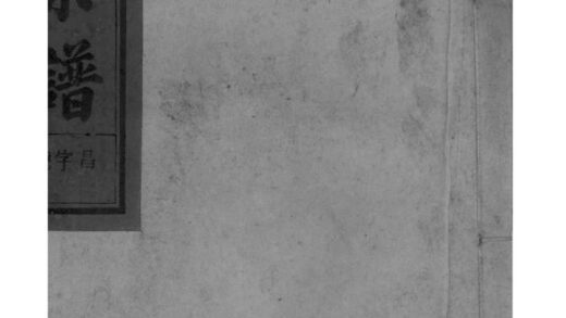 02000 安徽怀远王氏宗谱 0.jpg