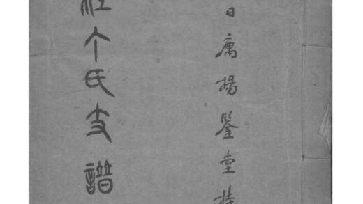 02002 江苏镇江京江丁氏支谱传略彚录 0.jpg