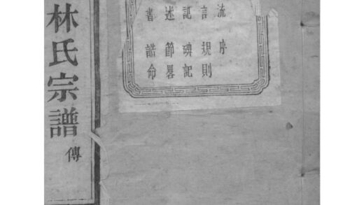 02008 浙江萧山萧山东门林氏宗谱 0.jpg