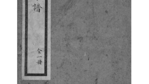 02014 浙江桐乡乌镇丁氏家谱 0.jpg