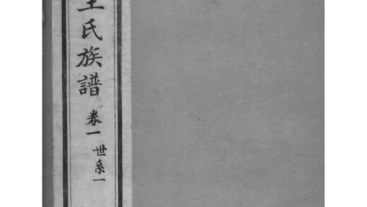 02030 浙江绍兴绍兴新河王氏族谱 0.jpg