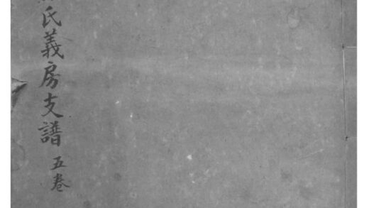 02055 江西南昌凤岐岸湖张氏义房支谱 0.jpg