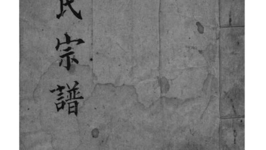 02070 浙江海宁许氏历代宗谱 0.jpg