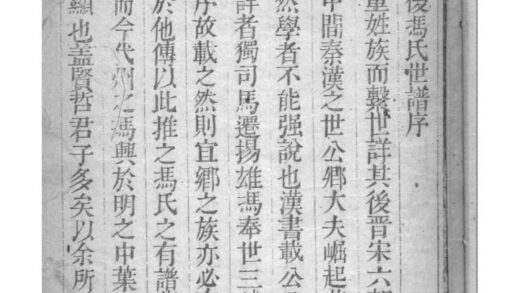 02088 山西代县道后冯氏世谱 0.jpg