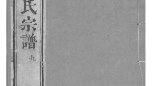 02093 浙江萧山涝湖陈氏宗谱 0.jpg