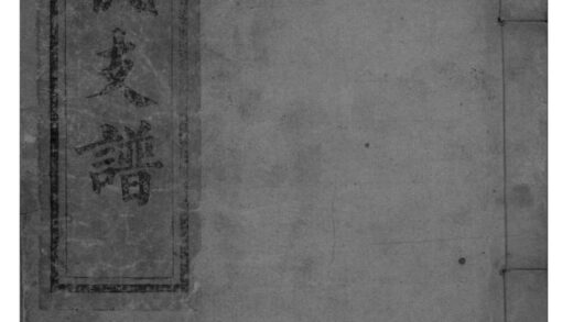 02097 湖南上湘大坪易氏支谱 0.jpg