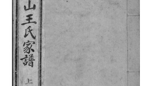 02119 河南禹州禹县角山王氏家谱 0.jpg