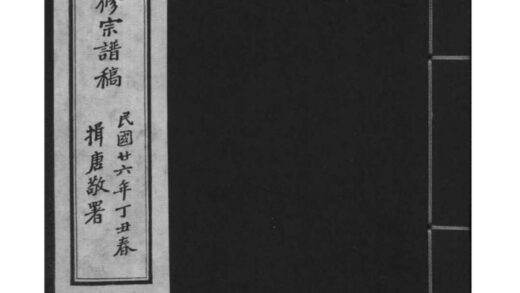 02140 安徽合肥合肥义门王氏续修宗谱稿 0.jpg