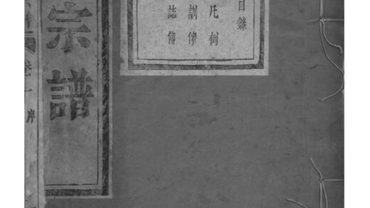 02154 浙江萧山萧南厉墅湖丁氏宗谱 0.jpg