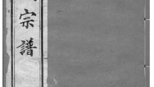 02181 安徽休宁新安苏氏族谱 0.jpg