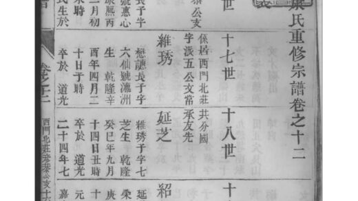 02187 江苏泰州南沙康氏重修宗谱 0.jpg