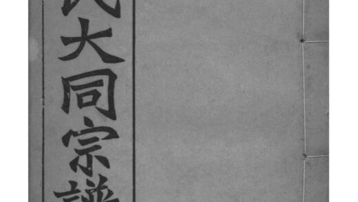 02203 全国庐江郡何氏大同宗谱 0.jpg