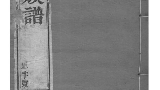 02205 江苏江都孙氏族谱 0.jpg