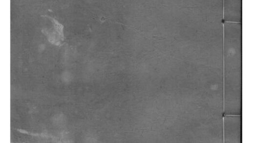 02206 浙江萧山浙绍萧山县车里庄王氏家谱 0.jpg