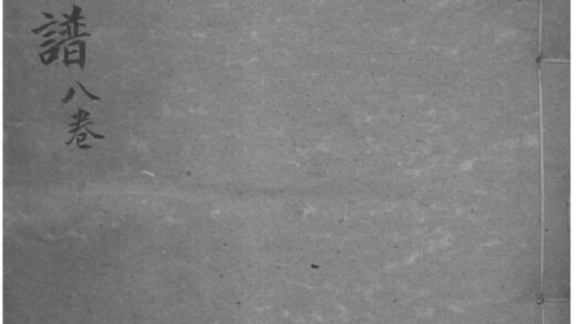 02207 江苏镇江王氏家乘 0.jpg