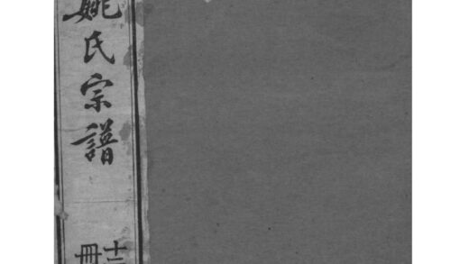 02215 安徽桐城桐城麻溪姚氏宗谱 0.jpg