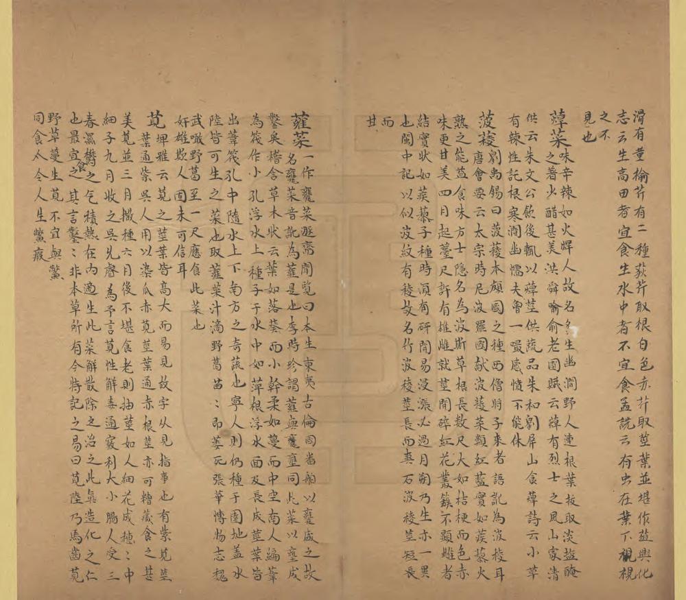 _宁化县土产志_