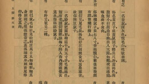 06957 满洲地理参考吉林新志 0.jpg