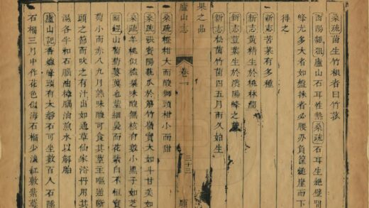 07274 庐山志 0.jpg